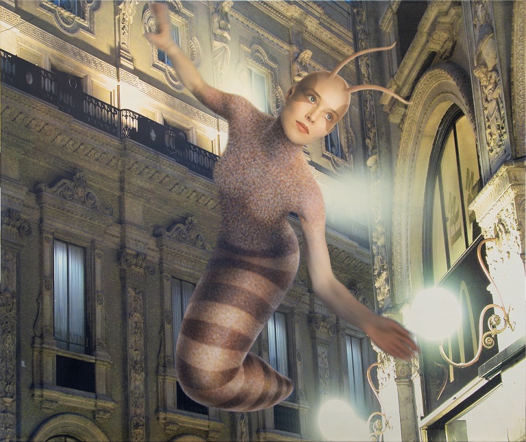 Karin Andersen, Senza titolo, 2004